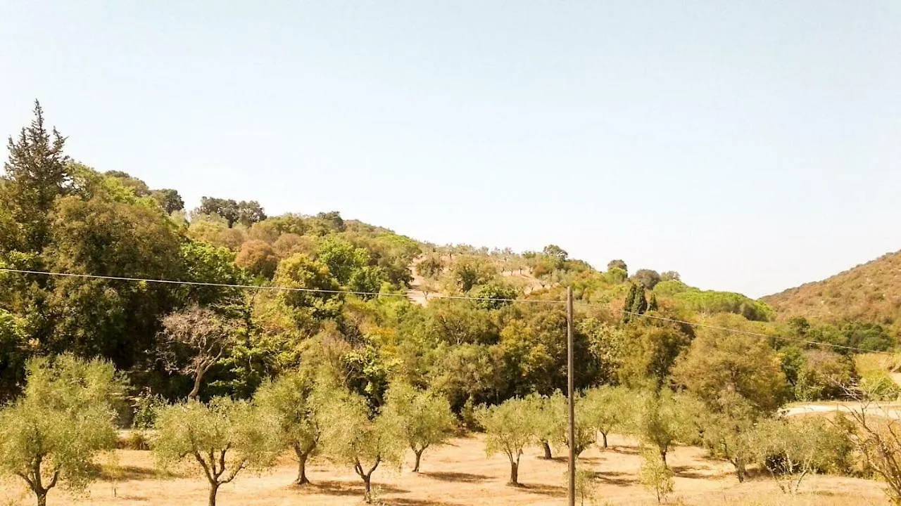 Apartment Podere Barlo Campiglia Marittima
