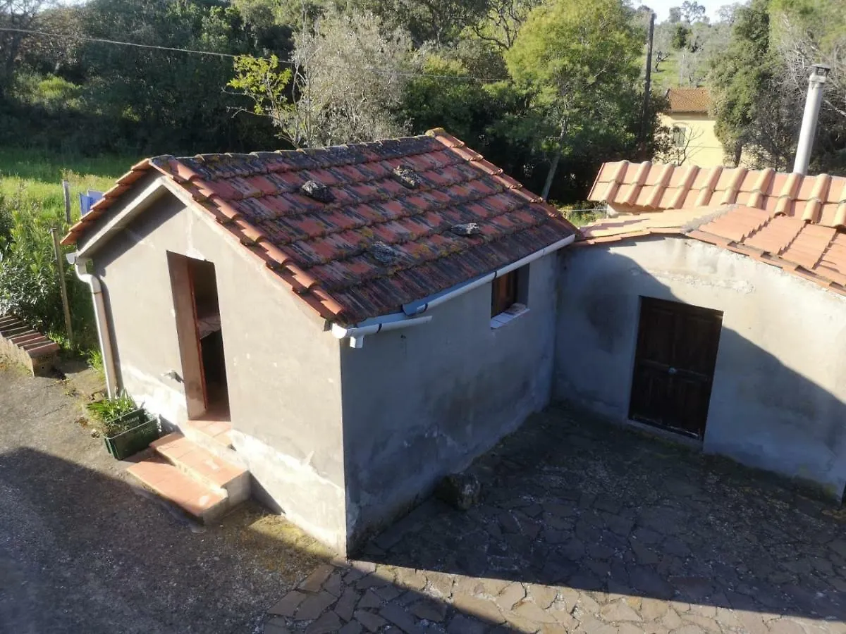 Podere Barlo Campiglia Marittima 0*,